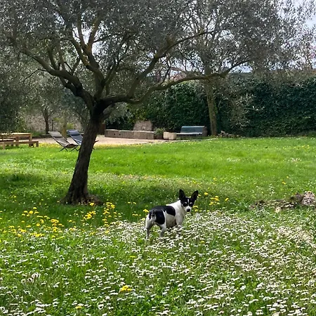 Hotel Le Moulin Du Chateau