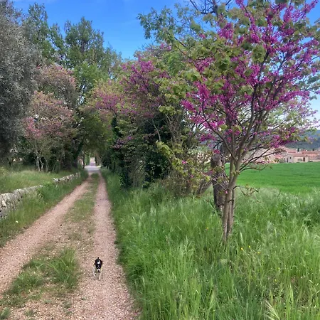 Le Moulin Du Chateau Saint-Laurent-du-Verdon