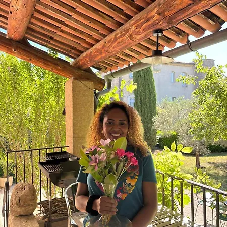 Le Moulin Du Chateau Saint-Laurent-du-Verdon