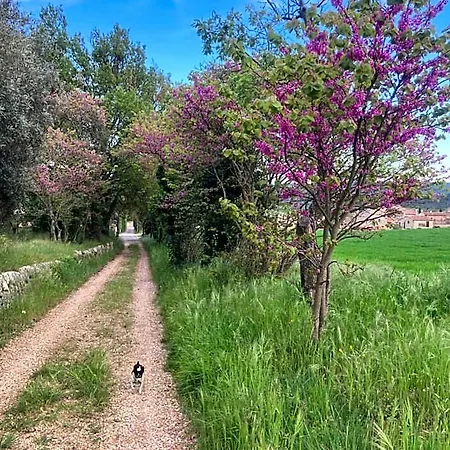 Le Moulin Du Chateau Saint-Laurent-du-Verdon