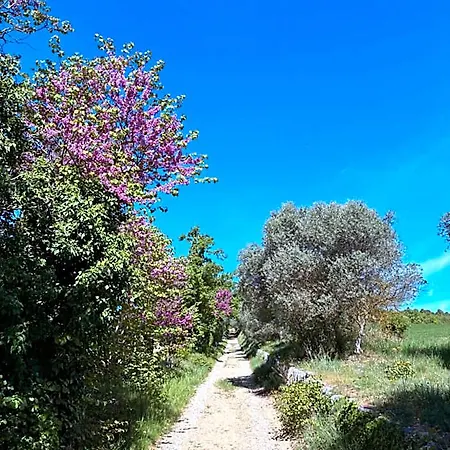 Le Moulin Du Château Hotel Saint-Laurent-du-Verdon