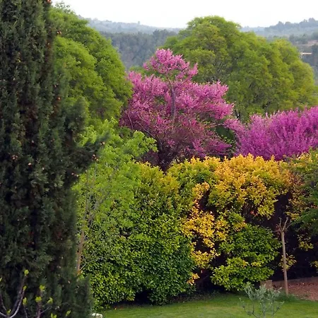 ホテル Le Moulin Du Chateau