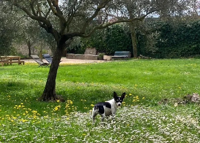 Hotel Le Moulin Du Chateau