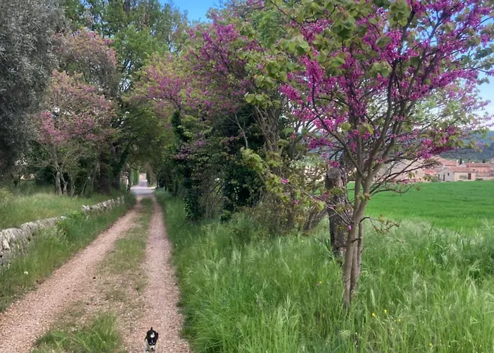 Le Moulin Du Château Saint-Laurent-du-Verdon